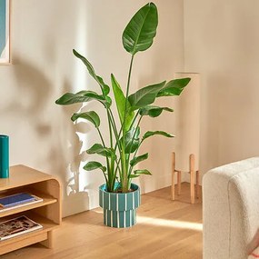 Кашпа atmosphera Flow, Керамика, Зелен, Ø30 cm