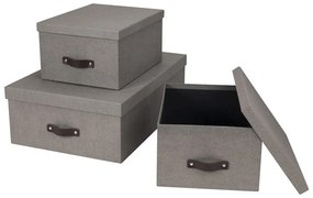 Кутии за съхранение с капак в комплект от 3 Inge - Bigso Box of Sweden