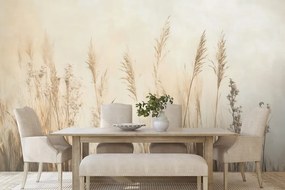 Тапет – Сухи растения в бежов цвят