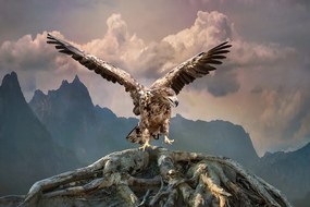 Самозалепващ тапет – Орел с разперени крила над планините