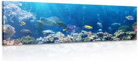 Картина на платно – Тропически рибки