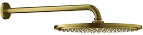 Душ глава с рамо Grohe Rain Душ Essence New-Gold Mat