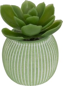 Изкуствено растение atmosphera Ubi Succulent, 7 cm, Различни видове