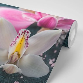 Фототапет – Прекрасна детайлна орхидея