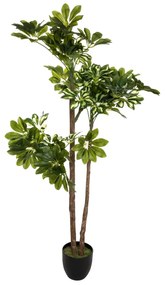 Изкуствено растение atmosphera Schefflera, 130 cm