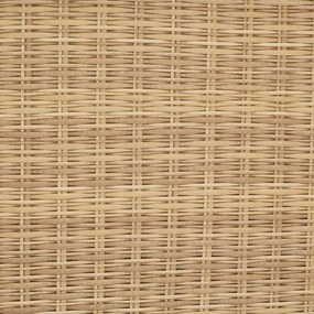 Градинска ракла Hesperide Bayana Savana, Изкуствен ратан - M