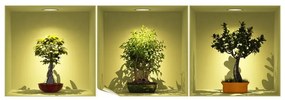 Комплект от 3 стикера с 3D ефект Bonsai Trees On Spot - Ambiance