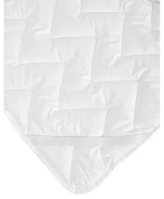 Протектор за матрак 120x200 cm Protect – Bonami Essentials