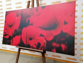 Картина на платно – Красиво поле от макове