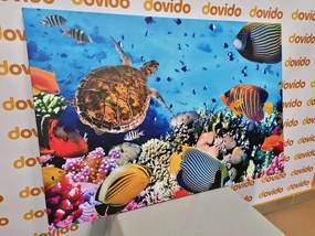 Картина на платно – Подводен свят