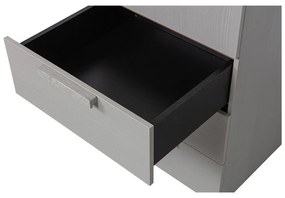 Сив модулен гардероб 55x210 cm Rens - WOOOD