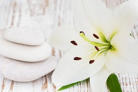 Картина на платно – Лилия и масажни камъни в бяло