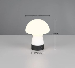 LED настолна лампа в матово бял цвят със стъклен абажур (височина 18 cm) Dooley – Reality