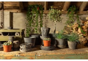 Комплект от 3 сиви теракотени саксии - Esschert Design