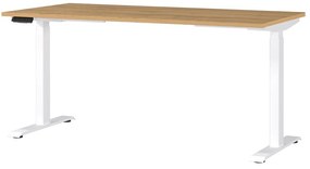 Работна маса с електрическо регулиране на височината 80x160 cm Jet – Germania
