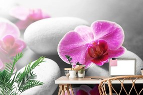 Фототапет – Орхидеи върху камъни
