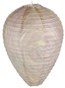 Хартиен репелент срещу оси – Esschert Design