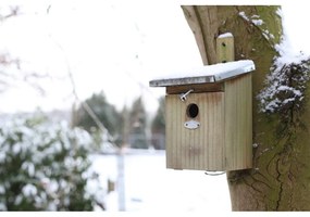 Дървена къщичка за птици – Esschert Design