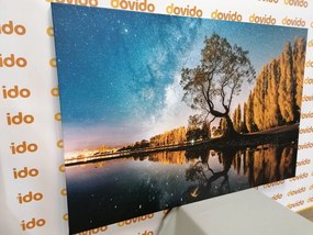 Картина на платно – Дърво под звездното небе