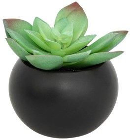 Изкуствено растение atmosphera Succulent, 13 cm, Различни видове