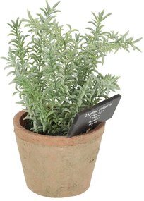 Изкуствено растение (височина 21,5 cm) Thyme – Esschert Design