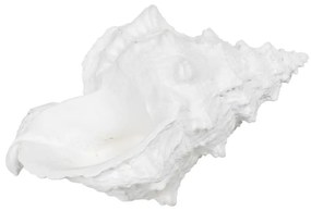 Статуя от полиресин (височина 12 cm) Seashell – Ixia