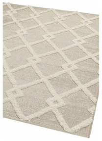 Кремав външен килим 120x170 cm Monty – Asiatic Carpets