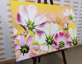 Картина на платно – Летни цветя