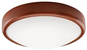 LED таванно осветително тяло 1xLED/12W/230V