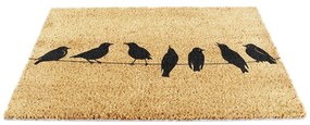 Изтривалка от кокосови влакна 40x60 cm Birds On a Wire – Artsy Doormats
