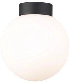Zuma Line C0574-01D-P7AA - Плафон ARCTURUS 1xG9/4W/230V черен