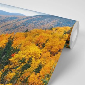 Фототапет – Изглед към величествени планини