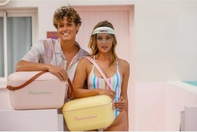 Кафява хладилна чанта 12 l Classic Gold – Polarbox