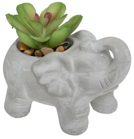 Изкуствено растение atmosphera Elephant, 10 cm, Различни видове
