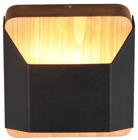 Матово черно LED затъмняваща се стенна лампа Arino – Trio