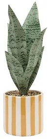 Изкуствено растение atmosphera Sansevieria Chéri, 38 cm