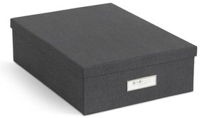 Картонени органайзери за докумнети в комплект от 5 бр. Holger – Bigso Box of Sweden