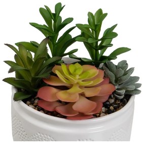 Изкуствени растения в комплект от 2 бр. (височина 19 cm) Cactus – Casa Selección