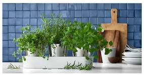 Комплект от 3 саксии за билки от неръждаема стомана Gourmet - WMF