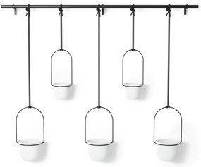 Пластмасови стенни/висящи кашпи в комплект от 5 бр. за билки ø 7,5 cm Triflora – Umbra