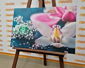 Картина на платно – Невероятна детайлна орхидея