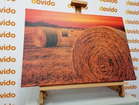 Картина на платно – Бали сено