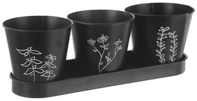 Метални саксии за билки в комплект от 3 бр. ø 11 cm Black – Orion