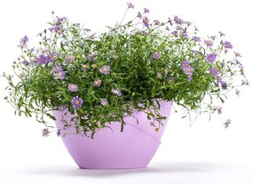 Пастелно лилава самонапояваща се саксия Doppio - Plastia