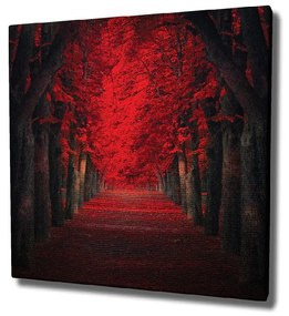 Стенопис върху платно Червени дървета, 45 x 45 cm - Wallity