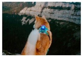 LED светлина за яка Blue - Orbiloc