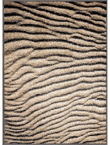 Кафяв килим 160x220 cm Avanti – FD