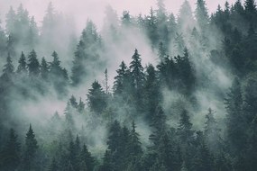 Картина на платно – Планини в мъгла