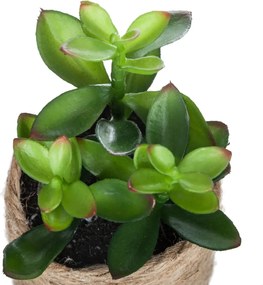 Изкуствено растение atmosphera, 16 cm, Различни видове