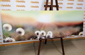 Картина на платно – Панорама на цъфтяща ливада